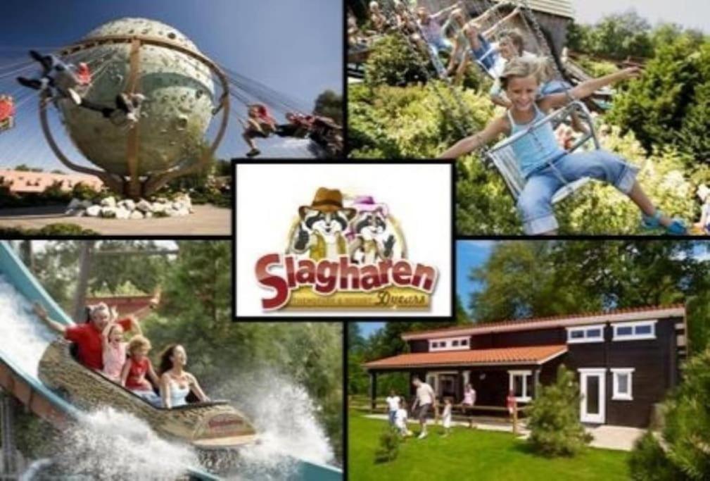 Camping De Pallegarste Chalet 119 Marienberg Экстерьер фото