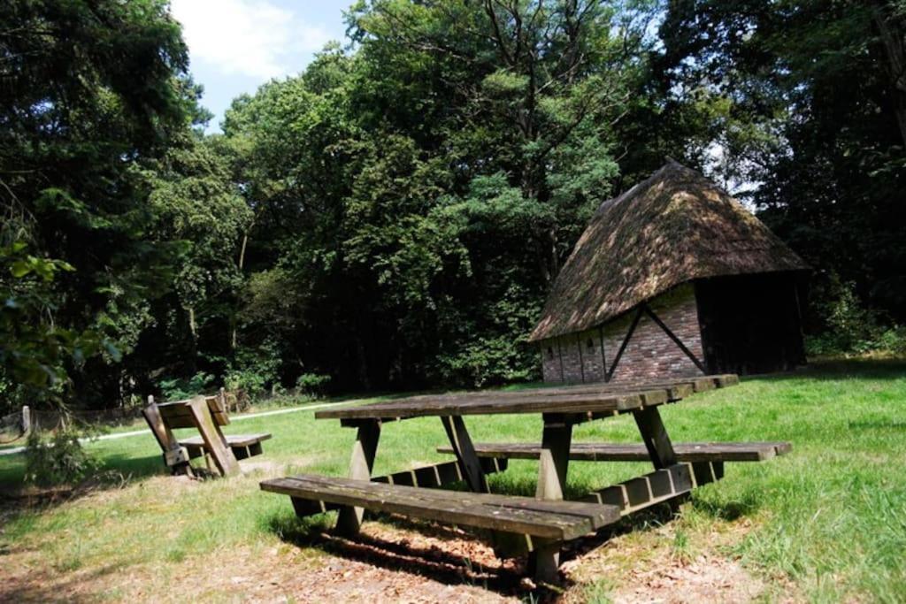 Camping De Pallegarste Chalet 119 Marienberg Экстерьер фото